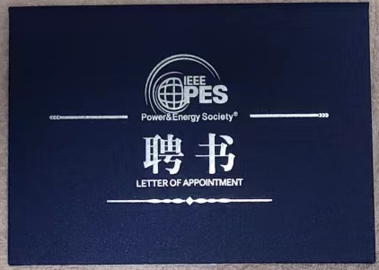 公司領導獲得“IEEE PES智能電網數字塊鏈分委會”副秘書長稱號